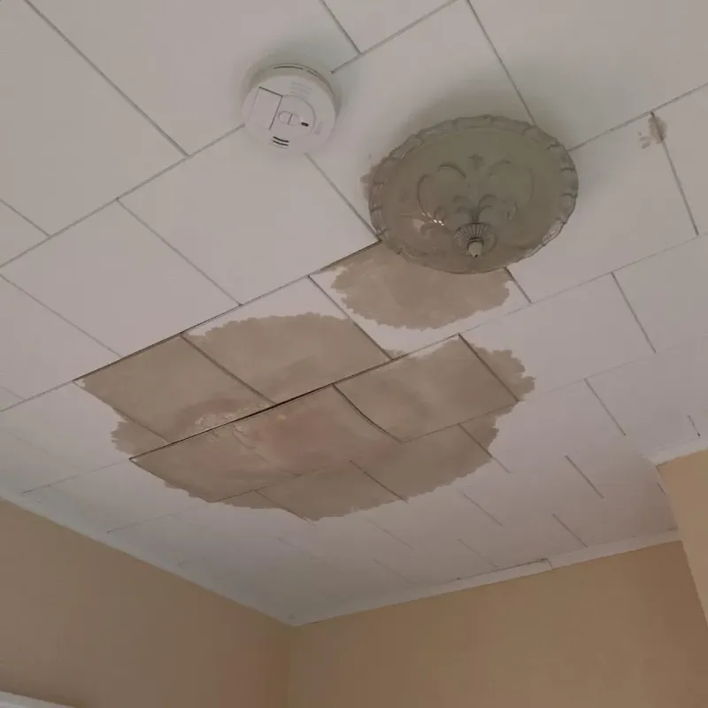 Ceiling Water Damage Repair in Sidney, NE