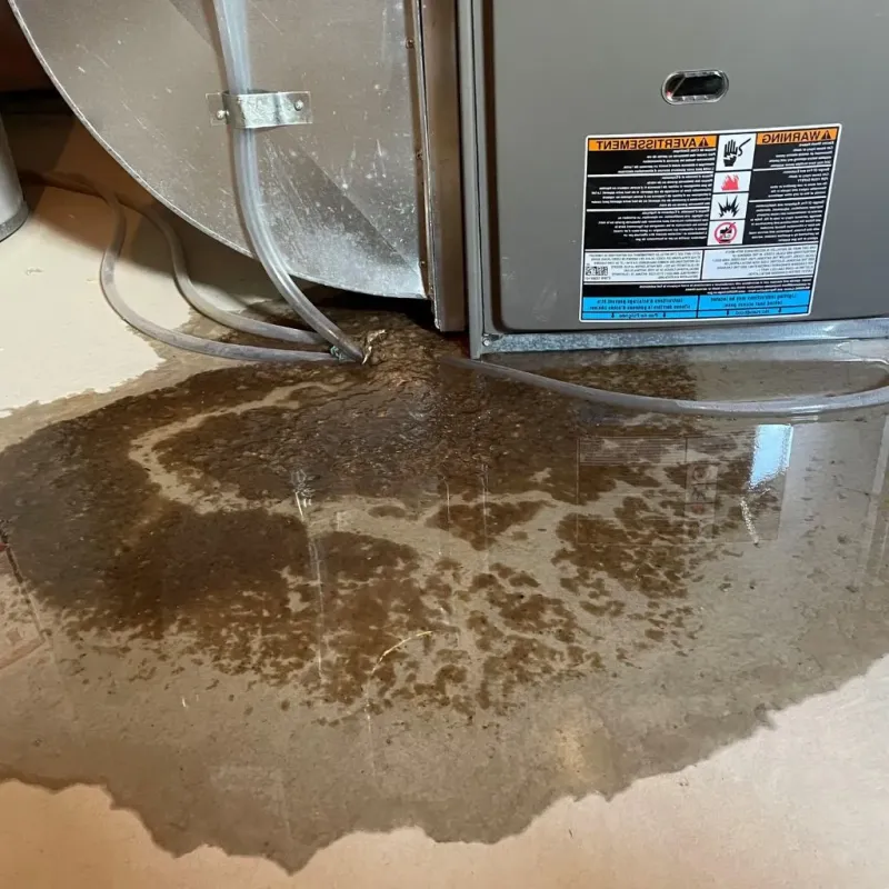 Pipe Burst and Leak Restoration in Sidney, NE