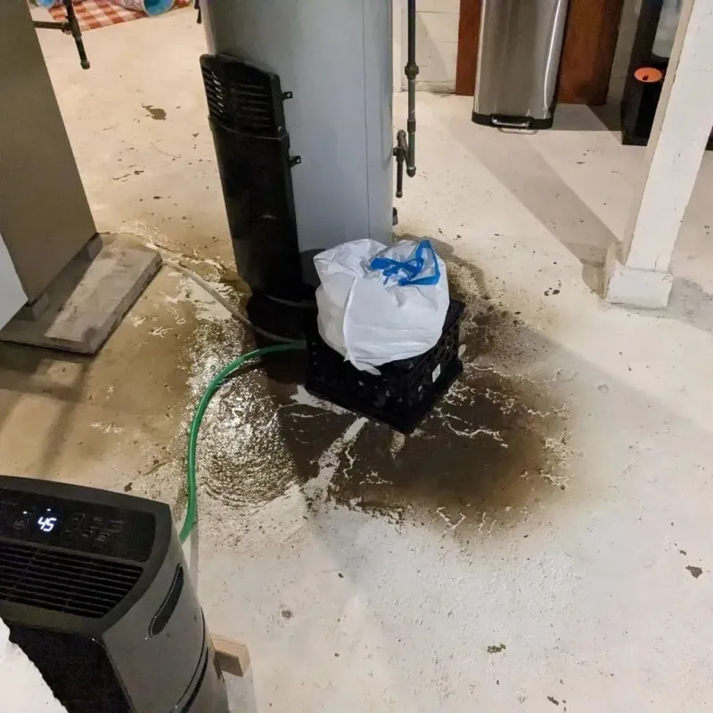 Sewage Backup Cleanup Service in Sidney, NE